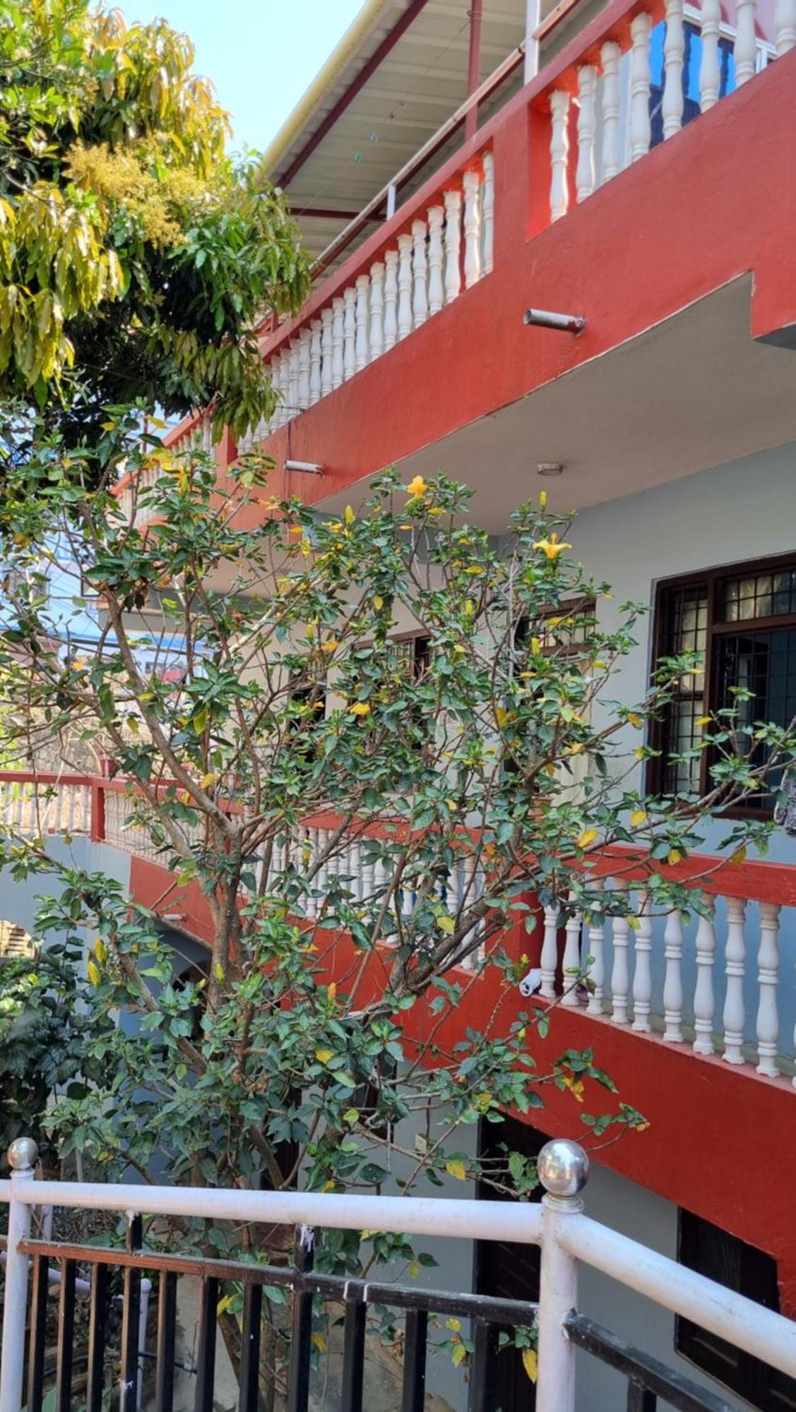Elephant Top Holiday Nepal, Homestay, Tansen Luaran gambar